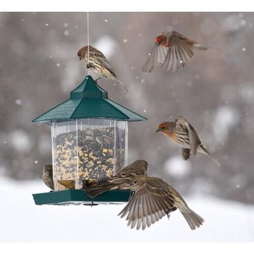 European style wild bird feeder Outdoor bird feeders food container waterproof grain storage box