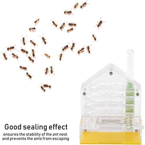 Acrylic Ant Nest Villa Farm House Formicarium For Ant Feeding Little insect Breeding Research Farm Animals Supplies