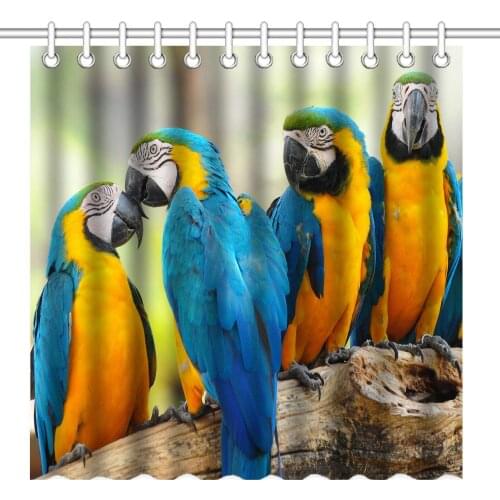 Colorful Nature Animal Sweet Pets Cute Blue and Yellow Macaws Parrots Birds Waterproof Polyester Fabric Shower Curtain