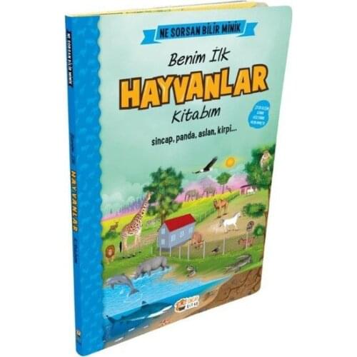 Pozitif Yayınları Educational Books For Children