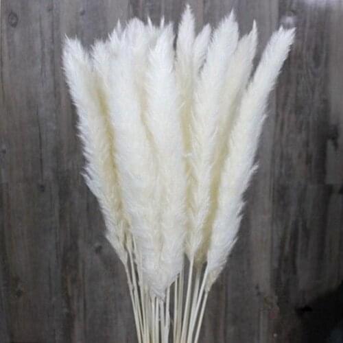 Natural Small Pampas Grass Flowers 15Pcs /Lot Wedding Home Decoration Articles Primary colors, pink, white