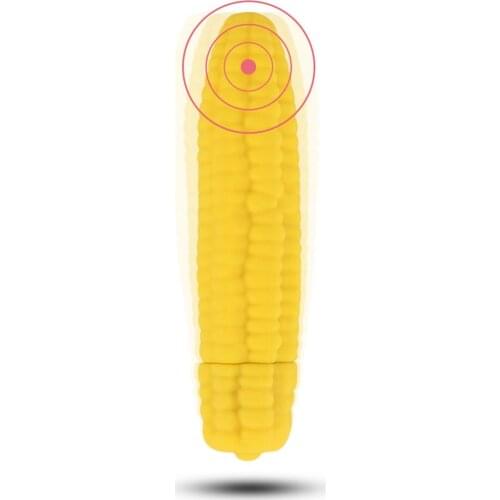 Privacy Corn Shape Dildo Vibrator 10 Frequency Silicone G Spot Massager Sex Toys for Women Long Bullet Vibrators AV Stick