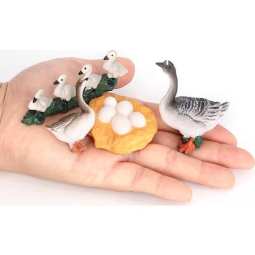 Four Stage Animal Growth Cycle Model Life Cycle of Goose Education Biology Toys