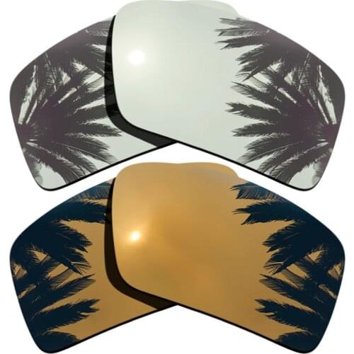 Silver Mirrored+Bronze Gold Mirrored Coating) 2-Pairs Polarized Replacement Lenses for Eyepatch 2 100% UVA & UVB Protection