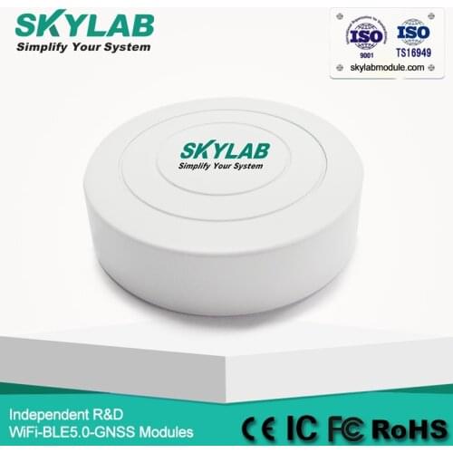 SKYLAB new UUID low energy proximity indoor/outdoor positioning nordic nrf51822 ble 4.0 iBeacon tag bluetooth Beacon