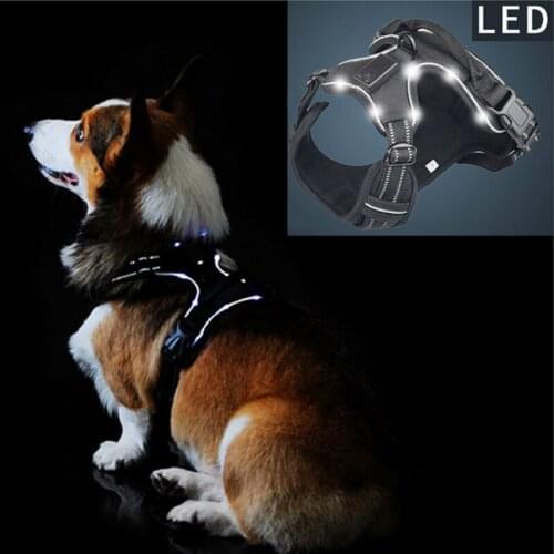 DADYPET Travel Vests