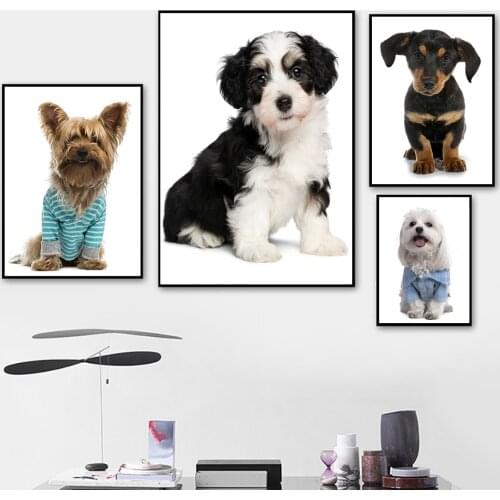 Puppy Dog Wall Art Canvas Prints Posters,Cute Puppy Black and White Dog Yorkshire Terrier,Rottweiler Wall Art Boy Girl Room
