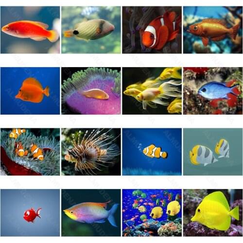 Diy Diamond Painting Fish Nordic Style Full of Diamond Handmade Dot Inlaid Diamond Bedroom Living Room Sticker Wall