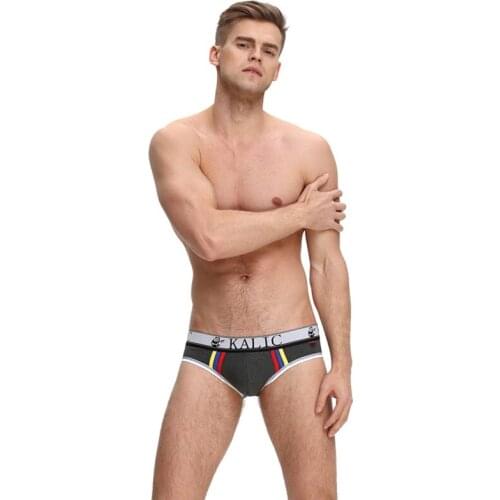 Acebal Cer Sexy Mens Lingerie Briefs Gay Penis Bag Mens Design Low-cut Bikini Panties Mens Sexy Cotton Underwear XL L M S