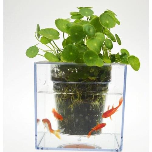 12*12cm,Modern flowerpot resin plastic flower pots fish pot plants Desktop fish tank Transparent Fashion
