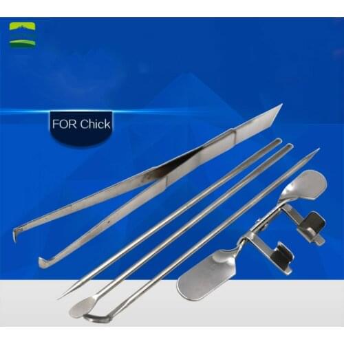 Chicken Castration Tool Stainless Steel Large Chicken Baby Chick Castration Cock Rooster Five-Piece Set Poultry Farm Tools New