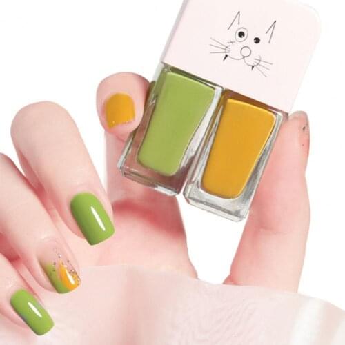 6ml x 2 Matte Nail Polish Manicure Decoration Water-proof Dry Quickly Resin Matte Nail Gel Set for Beauty DIY Nail Art