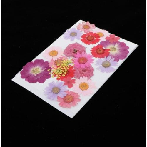 22x Assorted Pressed Dried Flowers Leaves DIY Arts Paper Cards Face Makeup