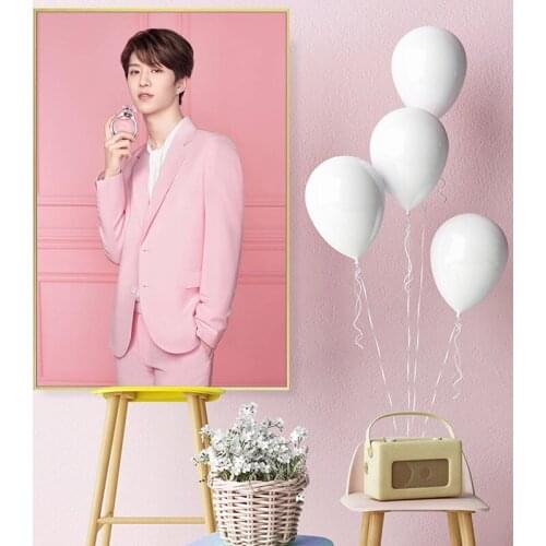 Painting by numbers art paint by number Hand-painted Chinese popular star Adam room corridor decorative painting