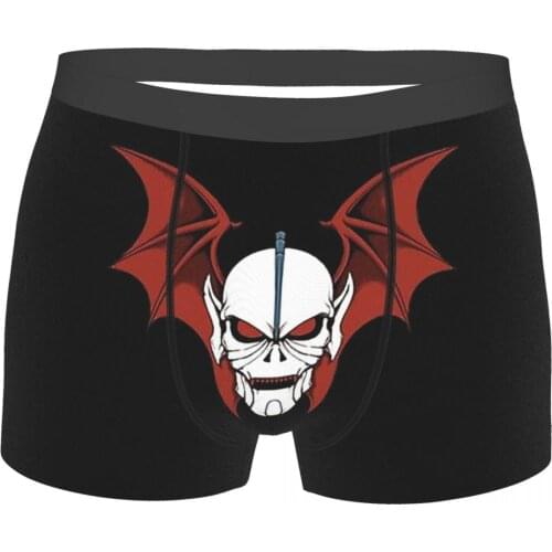 Ancient Evil He-Man and the Masters of the Universe Battle Cat Grayskull Anime Underpants Homme Panties Male Underwear Print