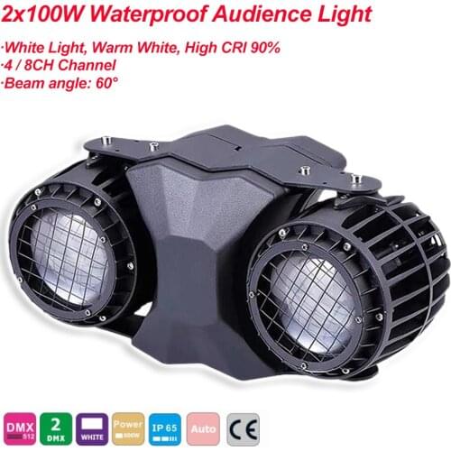COB Wash Lighting 2x100W Waterproof Eyes Cob DMX Audience LED Stage Blinder Par Light CW/WW DJ Disco Christmas Party Stage Light