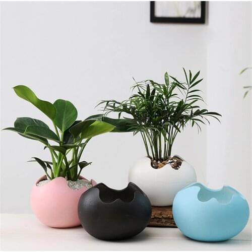 Eggshell Shape Flowerpot Ceramic Succulent Plants Pot Container Creative Planters Bonsai Pots Garden Home Desktop Decoration