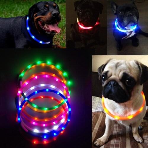 Pet Dog LED Collar USB Charging Adjustable Rechargeable Night Flashing Luminous Dog Collars Plastic Solid Neck Collar for Dogs