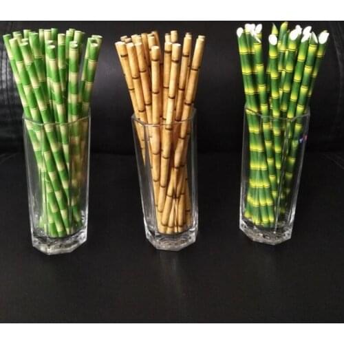 Biodegradable Bamboo Straws Bamboo Paper Straws Eco-Friendly 25Pcs a Lot Party Use Bamboo Straws LX6676