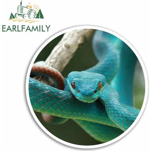 EARLFAMILY 13cm x 13cm for Blue Viper Snake Car Stickers Vinyl Sunscreen RV VAN Fine Decal JDM Scratch-proof Car Accessories