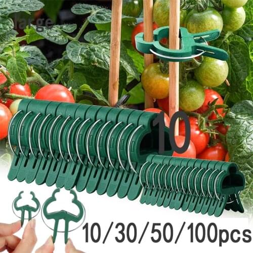 10/30/50/100Pcs Grafting Clips Greenhouse Clamp Stand Plastic Plant Clip Fastener Bracket Fixed Seed Stem Support Plant Grafting