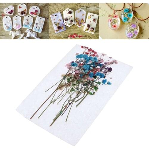 12Pcs Dried Flowers Pressed Flowers Leaves Babysbreath Scrapbooking Embellishments for DIY Resin Ornament Crafts Candle Making