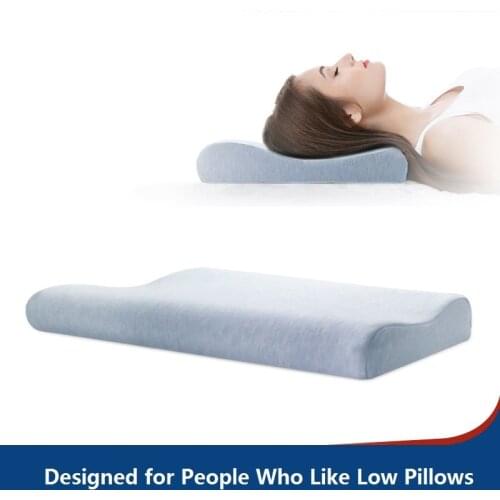 HealthDay Decorative Pillows
