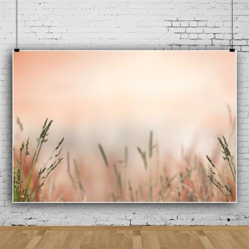 Vinyl Backgrounds For Photography Spring Wild Grass Light Bokeh Party Dreamy Scenic Baby Newborn Photozone Photo Backdrops