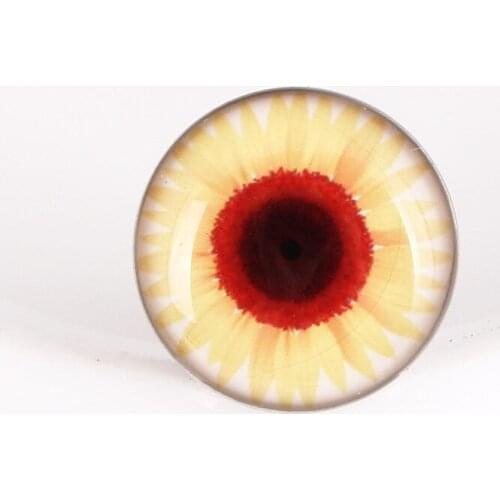 2pcs Eye of death Stainless Steel Ear expanders Screw Fit Ear Plugs and Tunnels Ear Piercings Flesh Tunnels Ear Stretcher