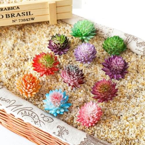 Green Purple Pink Blue Red Artificial Succulents Plants Home Garden Living Room Wedding Decoration Accessories Mini Fake Plants