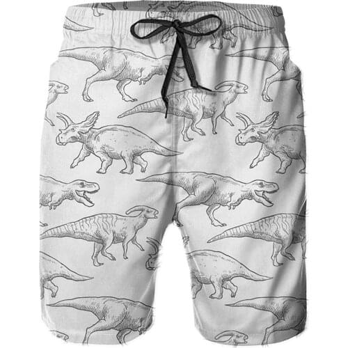Men 's Bandana Swim Shorts S Draw-Dinosaurs Swimtrunks Board Shorts Quick Dry Outdoors Summer Beach Shorts Mesh Lining