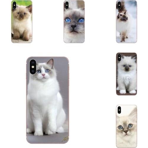 Soft TPU Print Phone Cover Case Lovely Ragdoll Kitten Cat Pet For HTC U11 Life Capa U11 Plus U 11 U12 Life