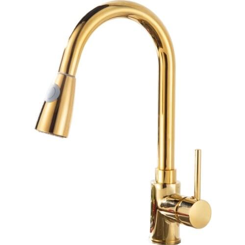 European Style Kitchen Faucet Brass Golden Vegetable Washing Basin Kitchen Sink Faucet 3 Function Pull Out Kitchen Faucet