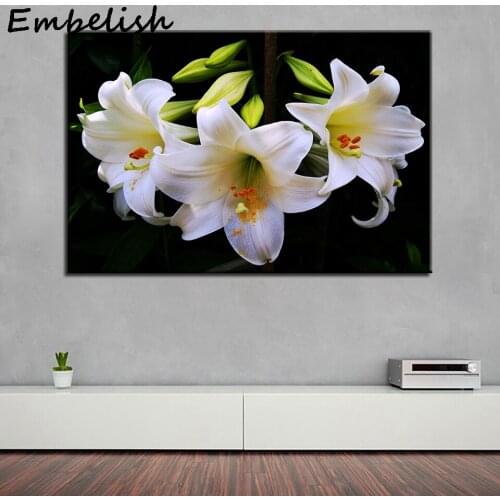 1 Pieces Poster Wall Art Framework Home Decor 1 Piece/Pcs Beautiful Lilies Flowers Paintings For Living Room HD Prints Pictures