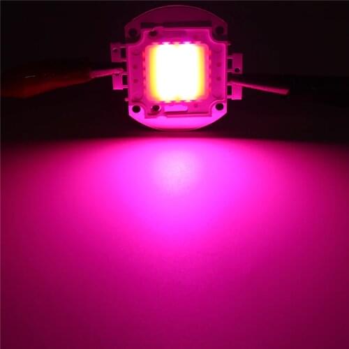 LED Chip Grow Light 10W 20W 30W 50W 100W Full Spectrum Plant Lamp Diodes Growth Lighting for Garden Flowering Hydroponics System