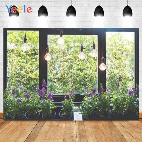 Yeele Bright Window Green Potted Plants Purple Flowers Lantern Sunny Background Photophone Photography for Decor Customized Size