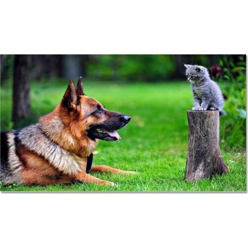 3D DIY Diamond Painting Cats And Dogs 50x90cm Diy Diamond Embroidery Cross Stitch Crystal Full Diamond Sets Home Decro