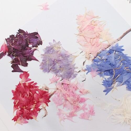 40pcs/bag Natural Cornflower Dried Flower Pressed Flower Specimen Nail Face Decal Photo Epoxy Jewelry Handmade DIY Material