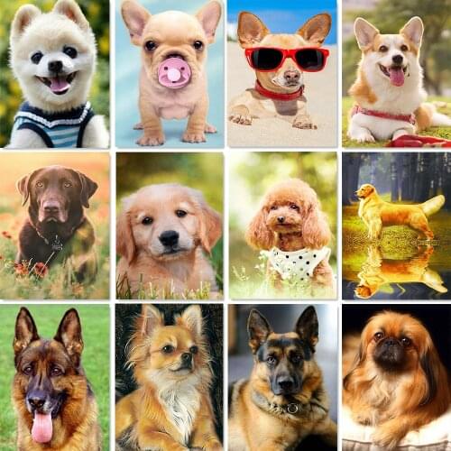 Diamond Painting Dog Square/Round 5D Diy Diamond Embroidered Animal Mosaic for Sale Rhinestone Art Painting