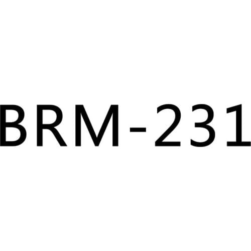 Leather Men Casual Shoes New 2019 Men Sneakers Male Footwear BRM-231