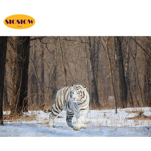 SIOSIOW 5D DIY Diamond Painting White tiger snow 3D Pictures Daimond Mosaic Embroidery Wild Animals Full Set Square Animal