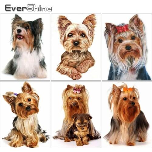 EverShine Diamond Painting Dog Full Square Diamond Embroidery Yorkshire Cross Stitch Set Mosaic Animal Rhinestones Handmade Gift