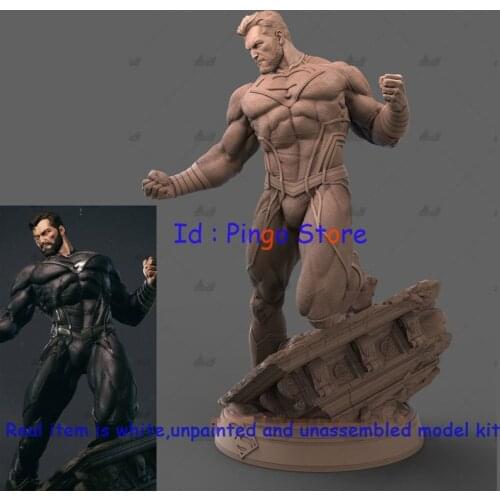 Wong Work Unpainted 1/6 Scale 29cmH 1/4 44cmH 3D Printing Unassembled Garage Kits GK Model Kit Figure Statue TTG-210428-24