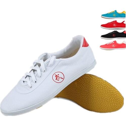 High quality Tai Chi Shoes School Child White Sports Shoes Martial Arts Men Women taiji Wu Shu Shoe Kung Fu 5 colors