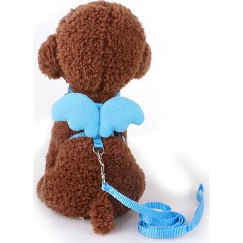 Pet Leash Little Angel Chest Strap Wings Set Cat Dog Leash Harness Milk Dog Small Dog Rope For Mini Dogs Puppy Teddy Supplies