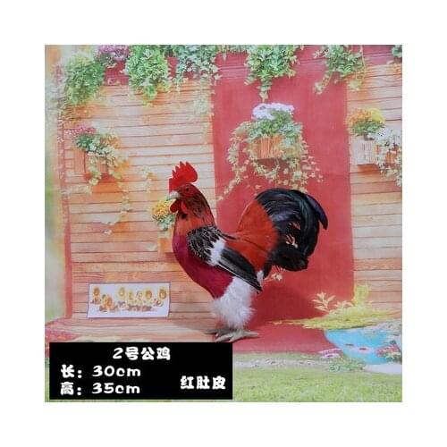 A cock model feathered fowl chicken Model cock model feather toys statues sculpture Home wedding decoration dies