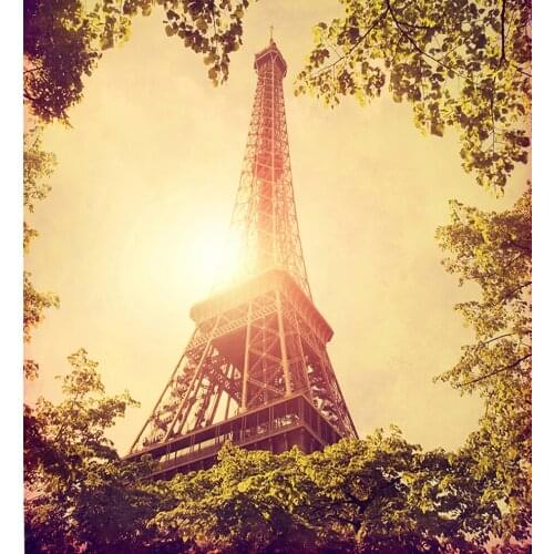 VinylBDS Backgrounds For Photo Studio Dream Eiffel Tower For Wedding Background Backdrop Sunshine Wedding Background Photo