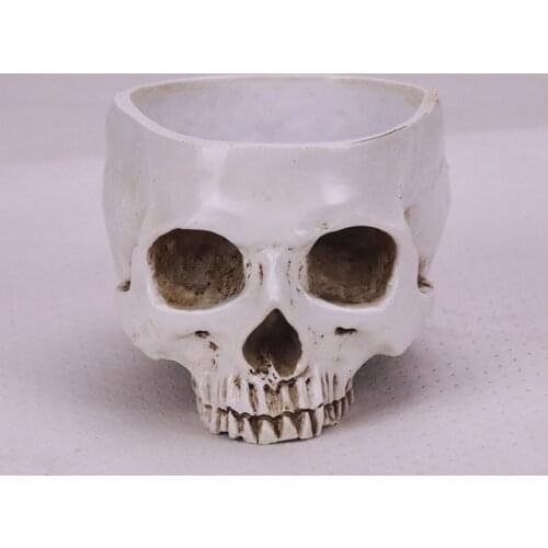 Human art Skull，Flower pot ornament of skull，Individuality flowerpot，Skull, flowerpot, art Skull