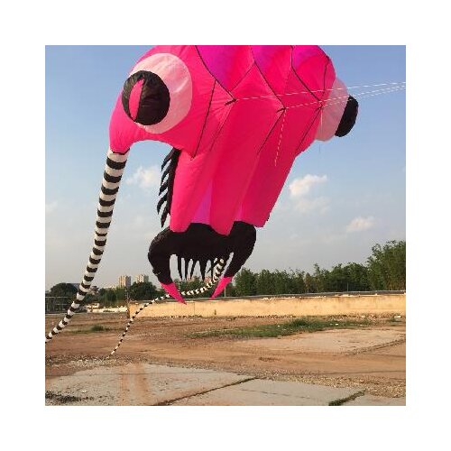 Trilobite beach soft cometas chinas cerf volant single line kites flying vlieger large inflatable kites ripstop nylon aquiloni