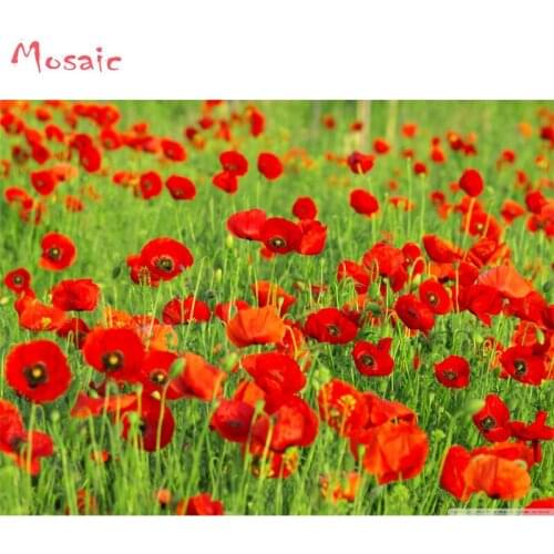 5d Diamond Embroidery Flowers DIY Diamond Painting Cross Stitch Full Square Drill Needlework Mosaic Decor Field of Poppies